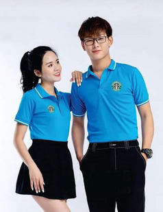 Áo thun đổng phục 1